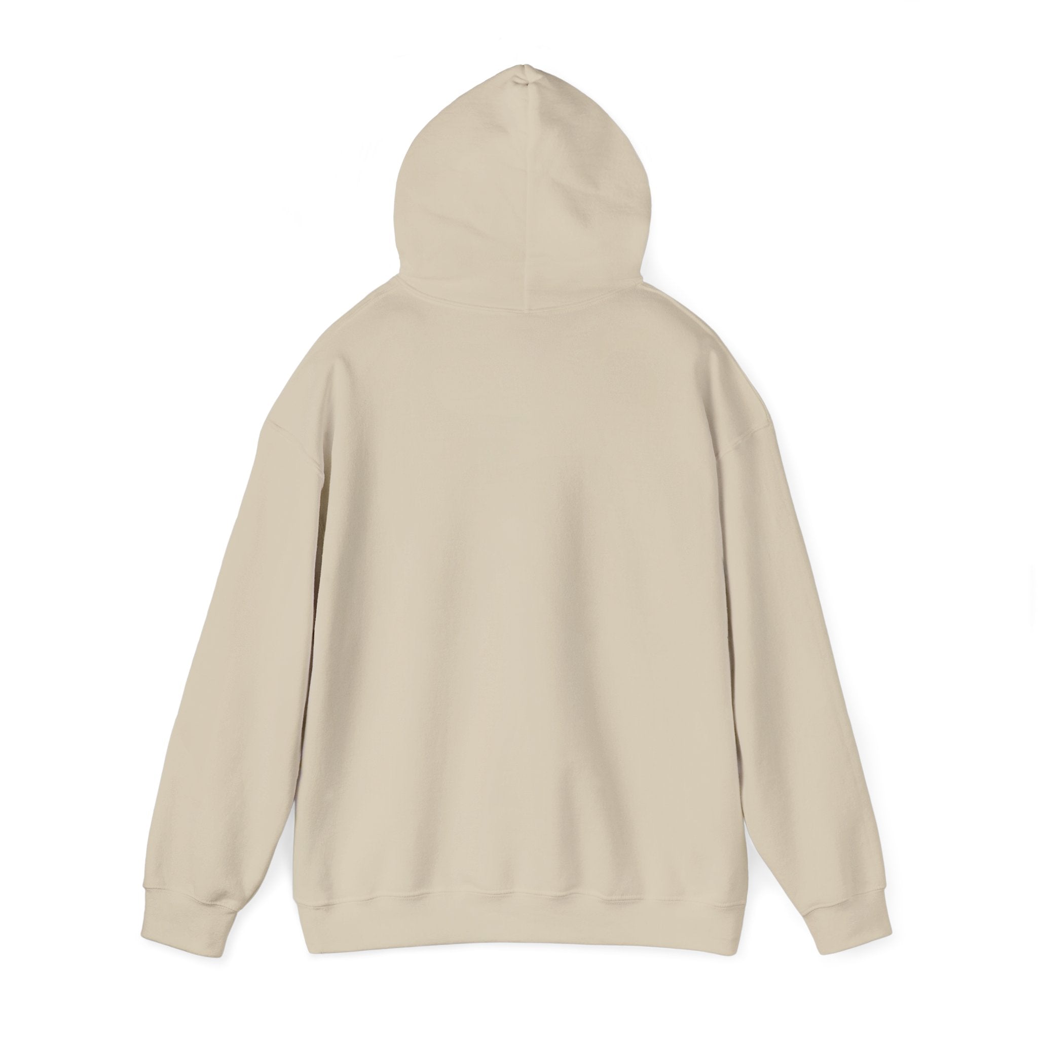 Faith Based Men's Hoodie - Born Again | Hoodie by atgodanddesigns
