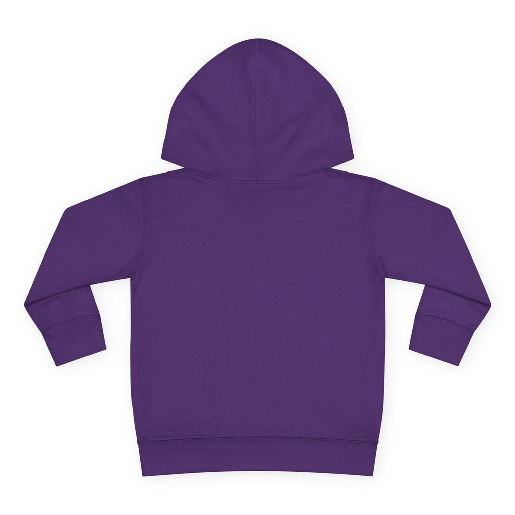 Faith Based Toddler Girl Hoodie - Daughter Of The King | Kids clothes by atgodanddesigns
