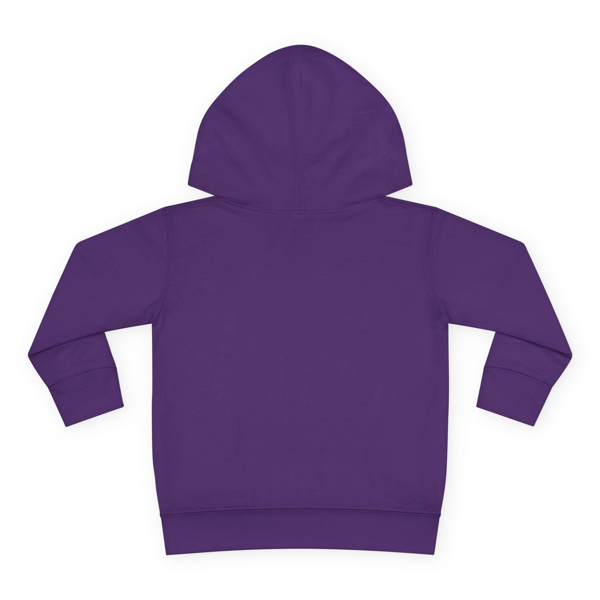 Faith Based Toddler Girl Hoodie - Daughter Of The King | Kids clothes by atgodanddesigns