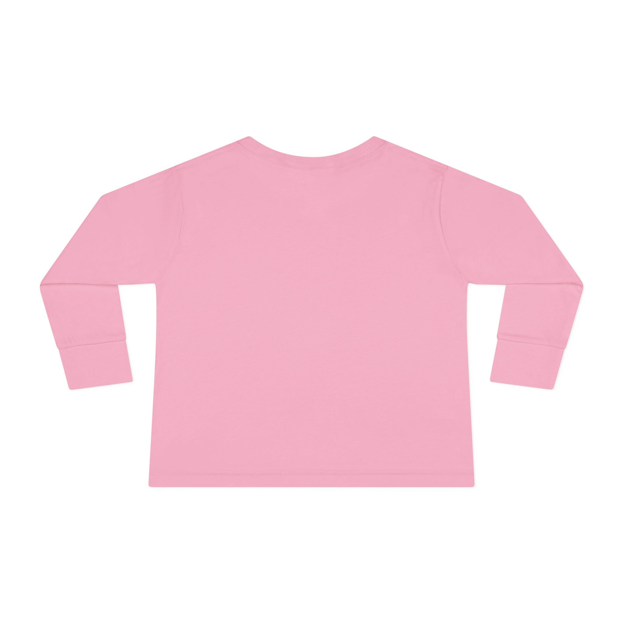 Faith Based Toddler Girls Long Sleeve T-Shirt - Daughter Of The King | Kids clothes by atgodanddesigns