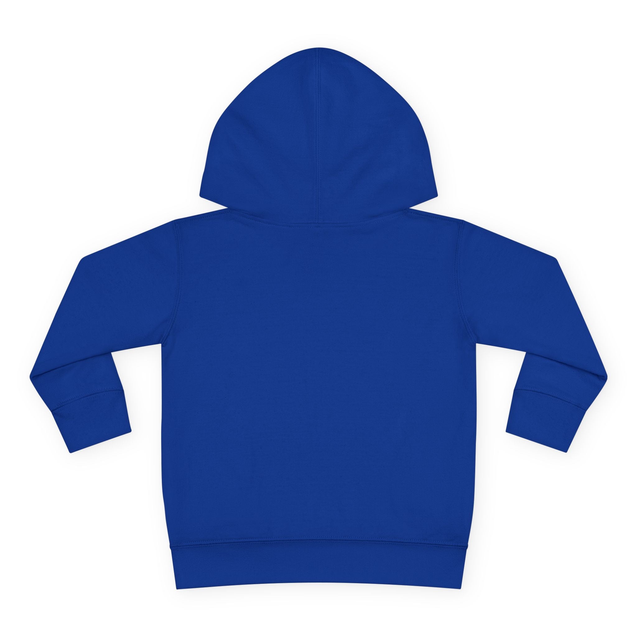 Faith Based Toddler Hoodie - Son Of The King | Kids clothes by atgodanddesigns
