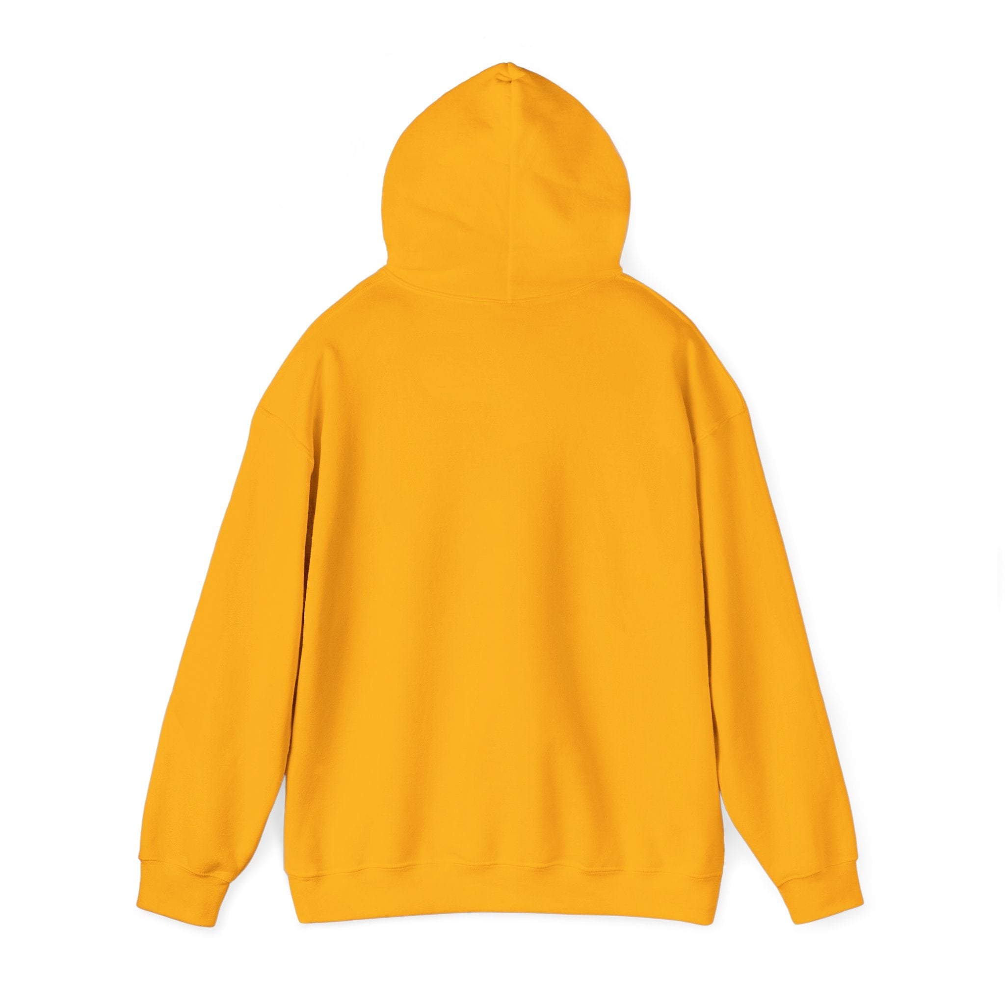 Faith Based Women's Hoodie - Let Your Faith Be Bigger Than Your Fear | Hoodie by atgodanddesigns