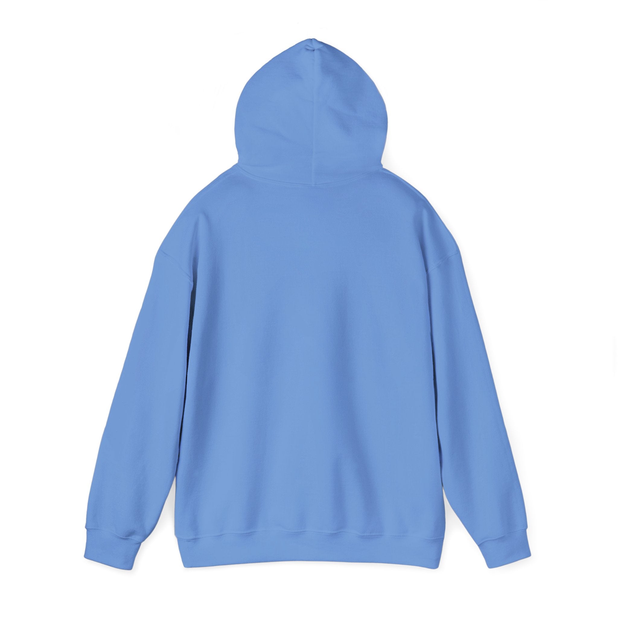 Graphic Teen Hoodie - Warning I Have No Fliter | Hoodie by atgodanddesigns