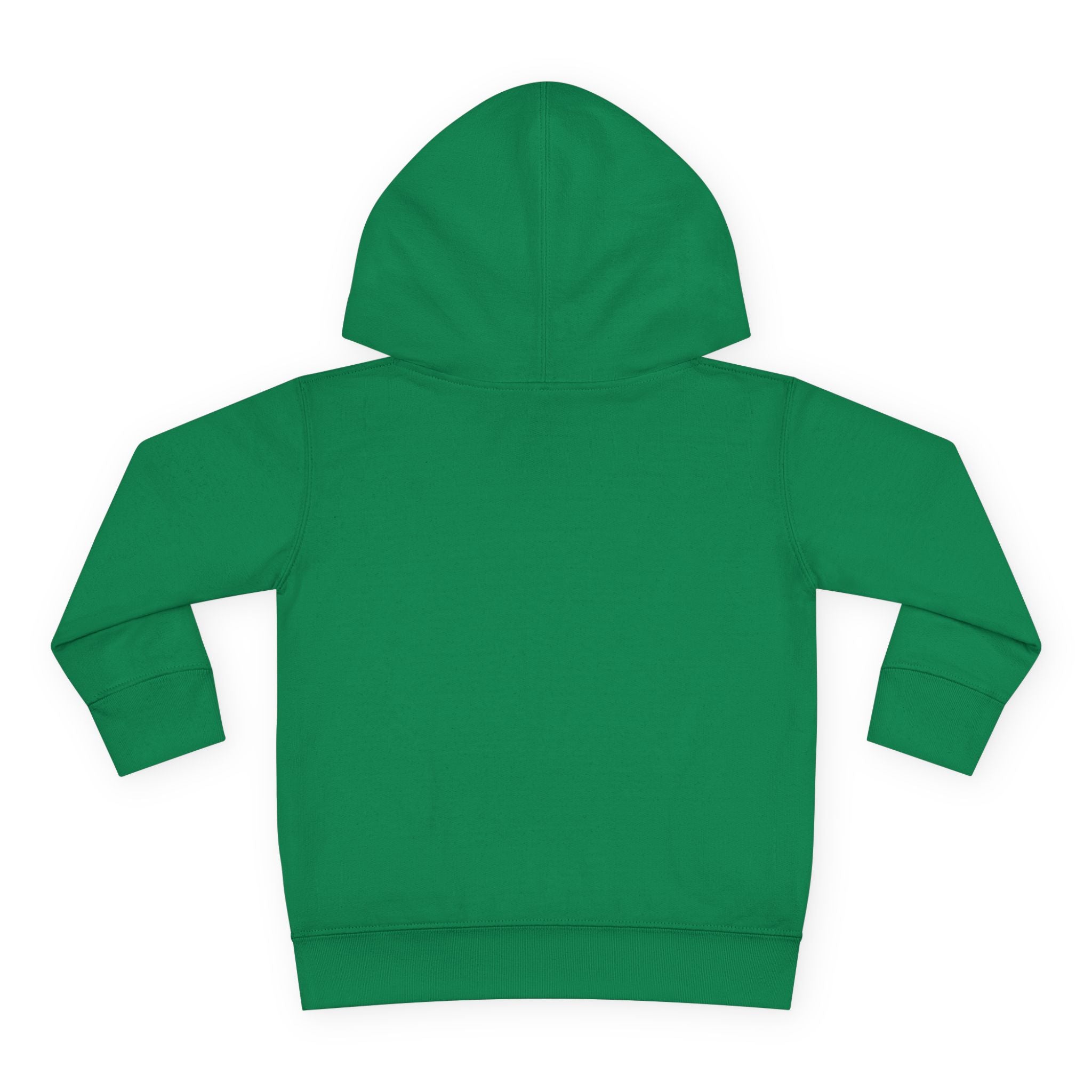Graphic Toddler Boys Hoodie - The Cool Kid Just Showed Up | Kids clothes by atgodanddesigns