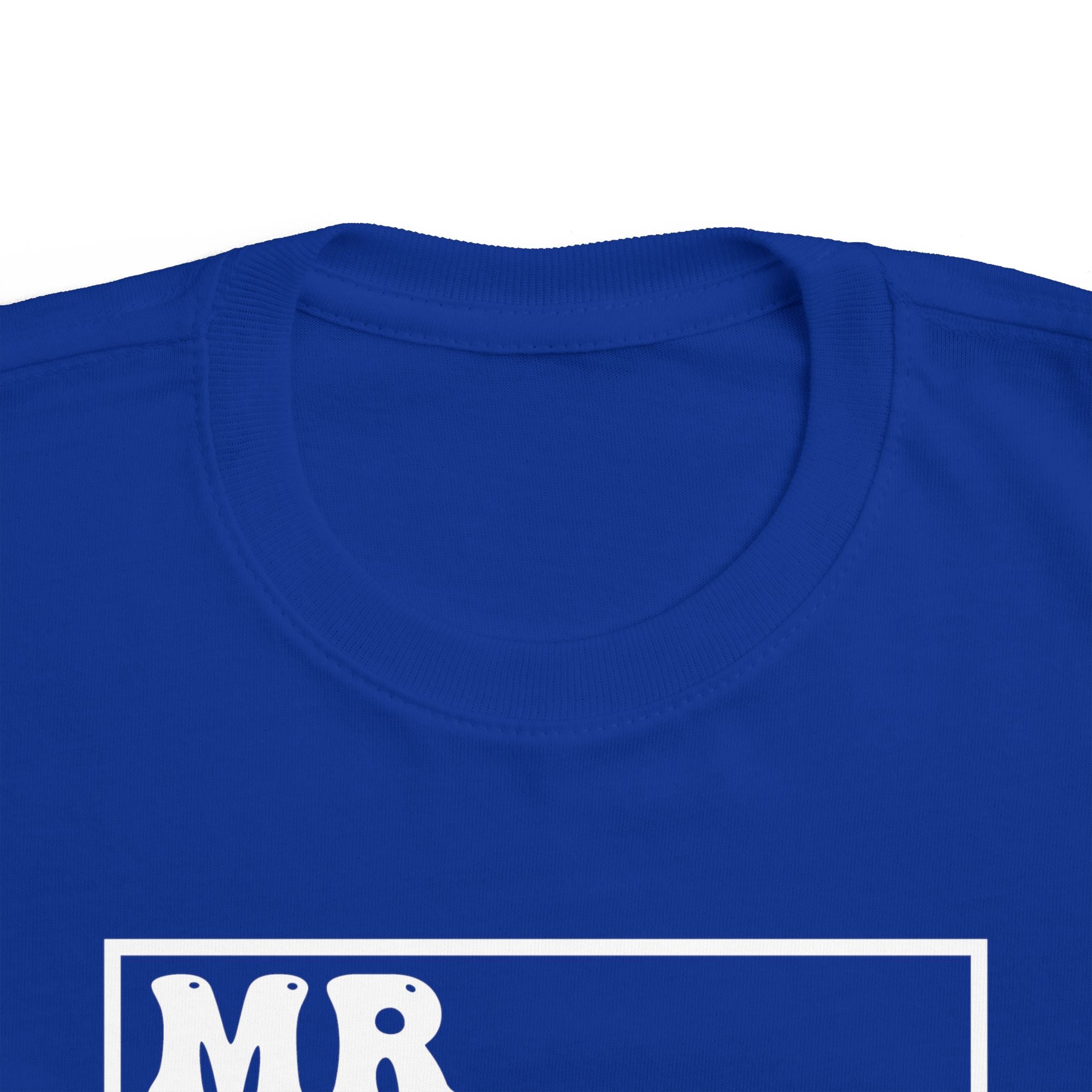 Graphic Toddler Boys T-Shirt - Mr. Steal Your Snacks | Kids clothes by atgodanddesigns