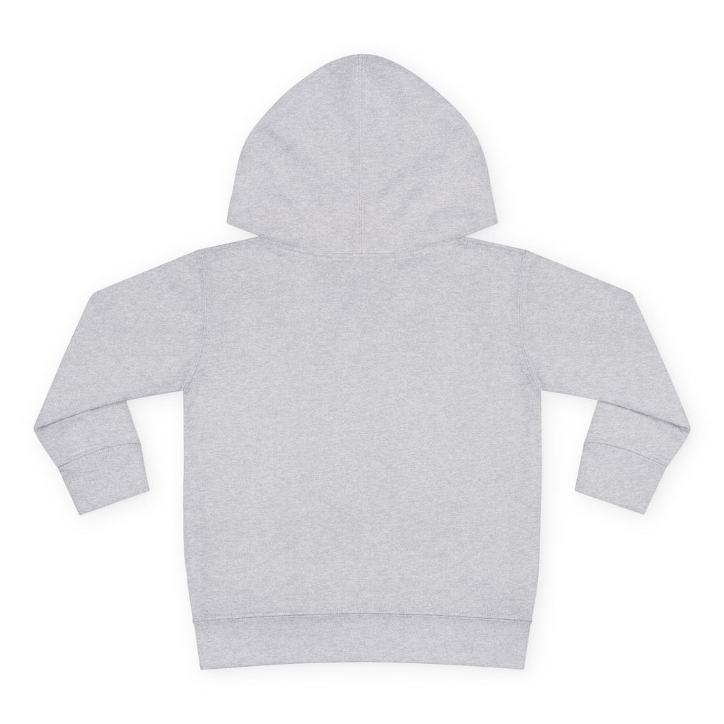 Graphic Toddler Girls Hoodie - Such A Beautiful Day For A Tantrum | Kids clothes by atgodanddesigns