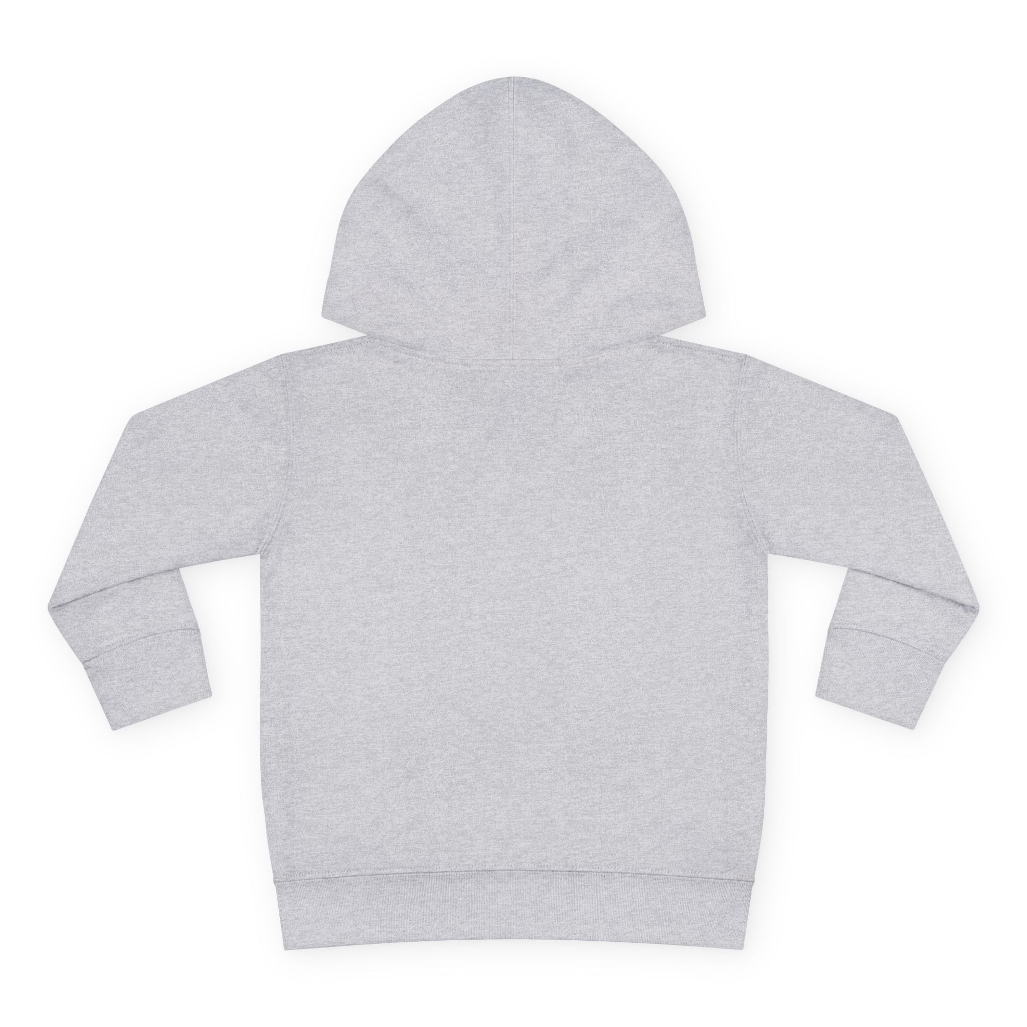 Graphic Toddler Girls Hoodie - Such A Beautiful Day For A Tantrum | Kids clothes by atgodanddesigns