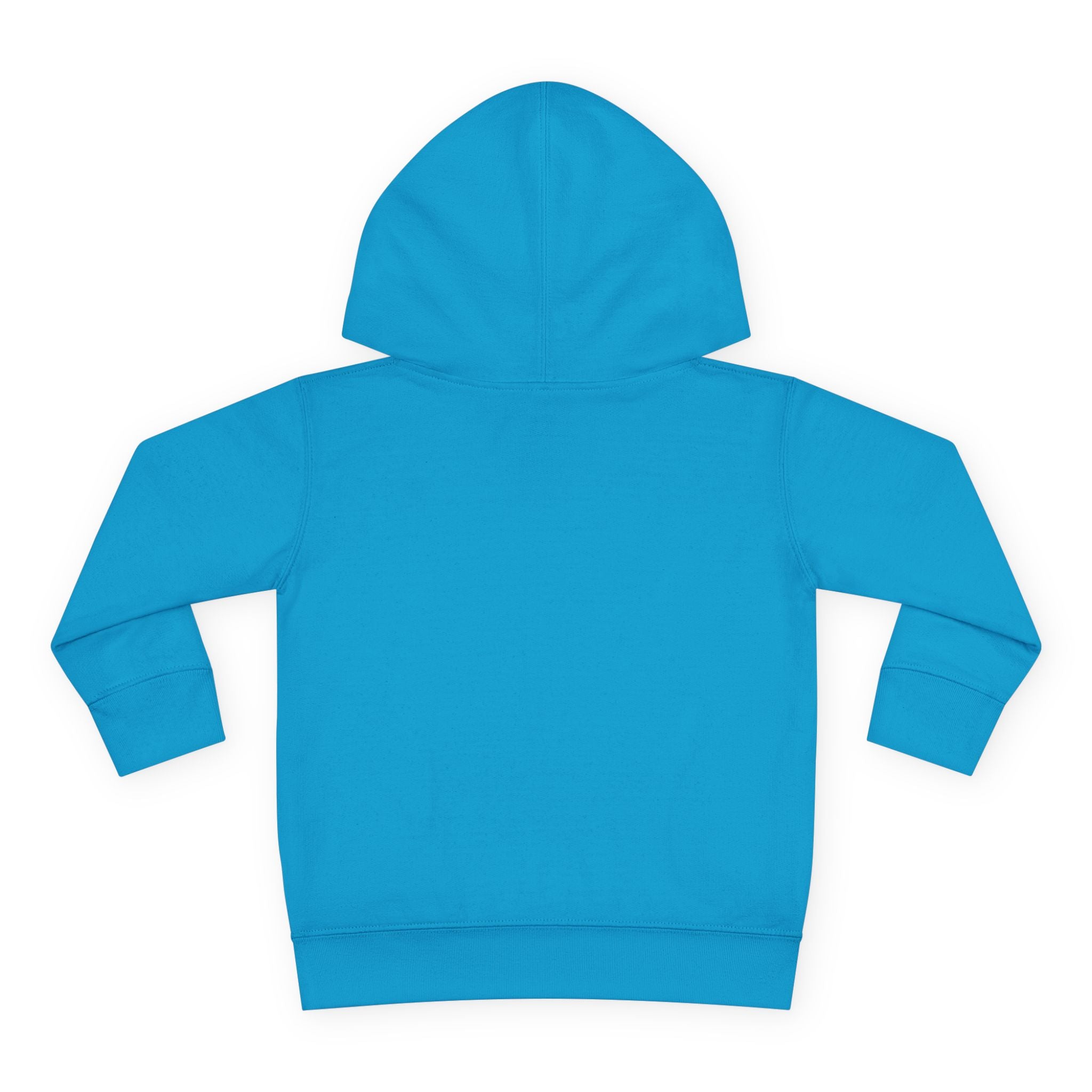 Graphic Toddler Hoodie - Tiny Tornado | Kids clothes by atgodanddesigns