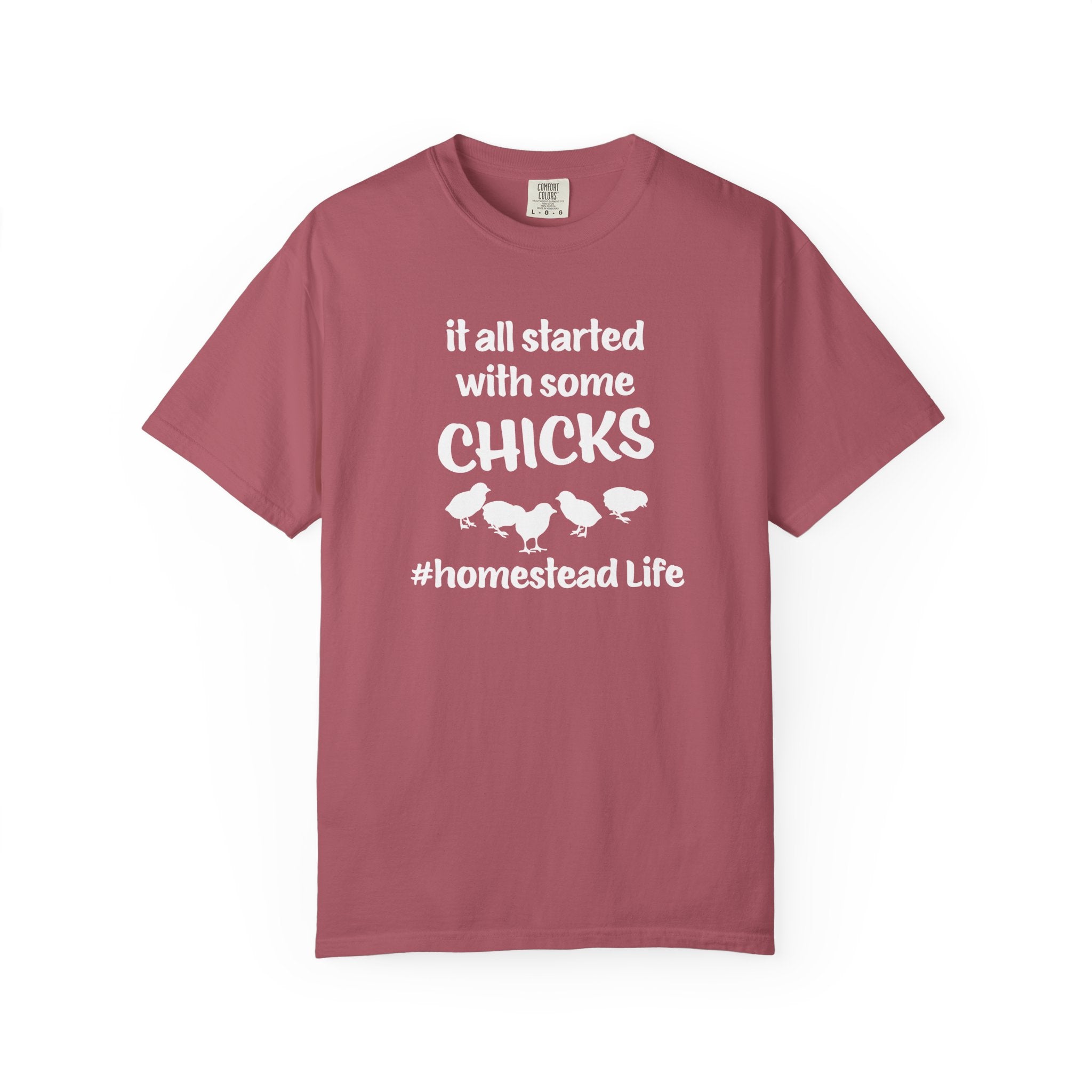 Homestead Men's T-Shirt - It all started with some chicks | T-Shirt by atgodanddesigns