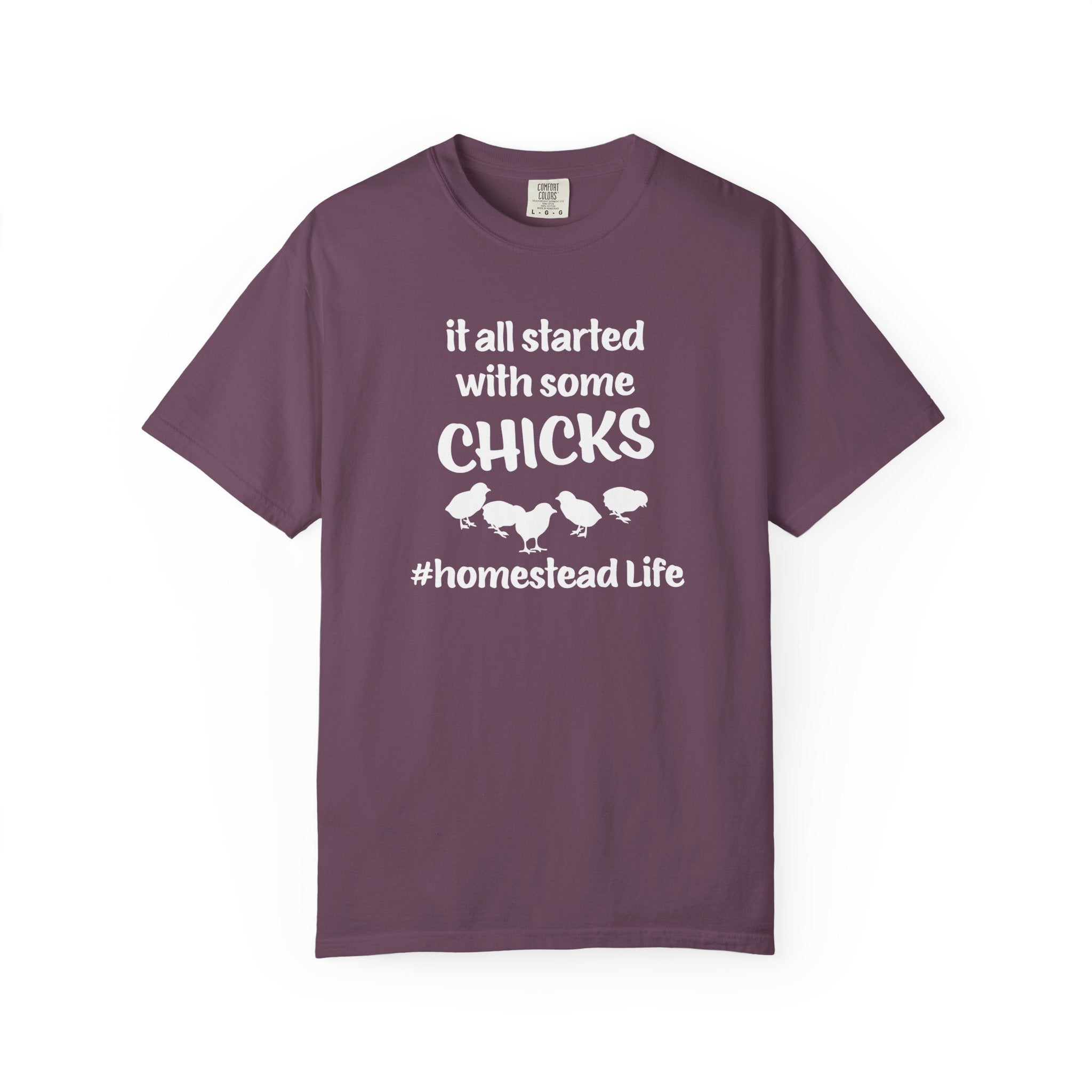 Homestead Men's T-Shirt - It all started with some chicks | T-Shirt by atgodanddesigns