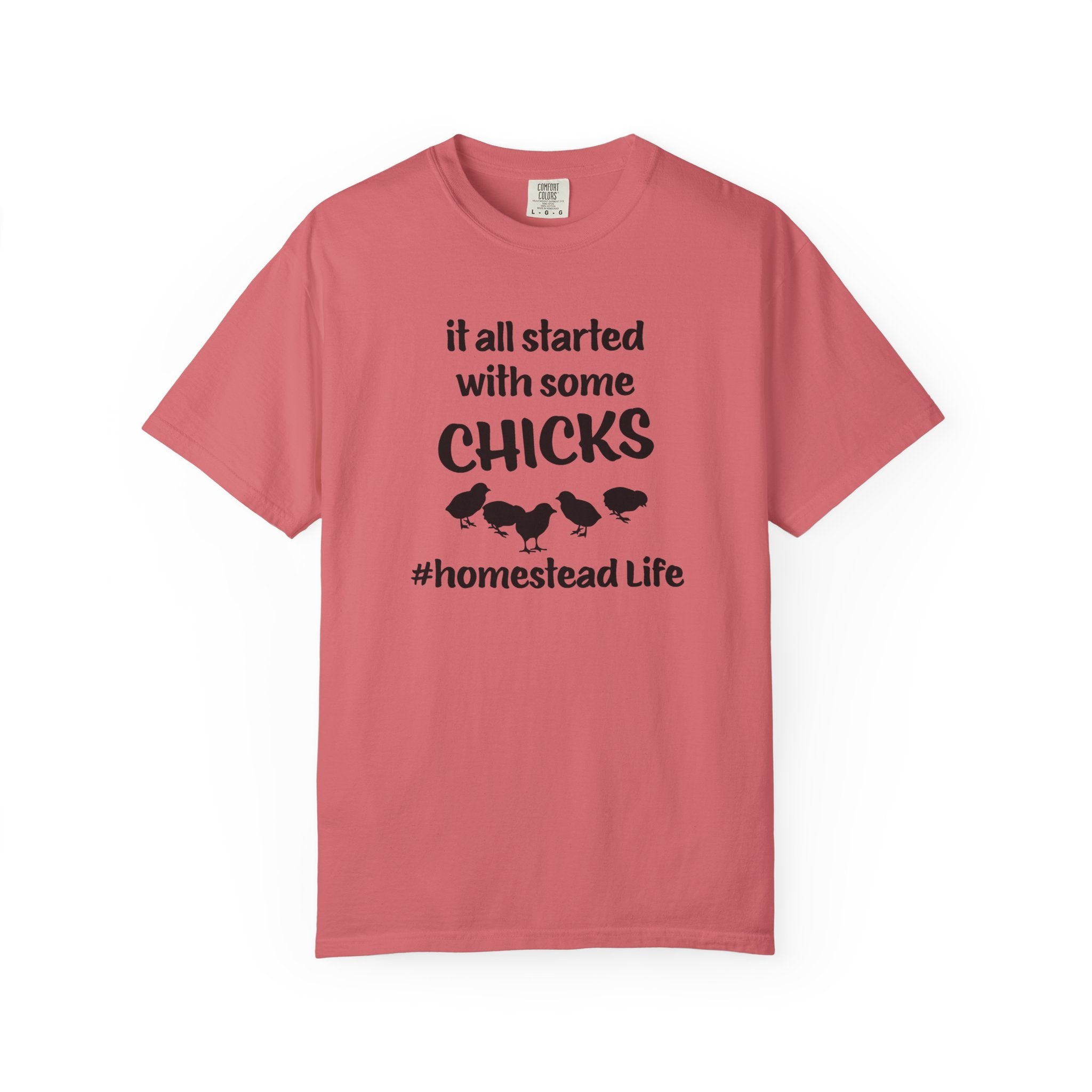 Homestead Women's T-Shirt - It all started with some chicks | T-Shirt by atgodanddesigns