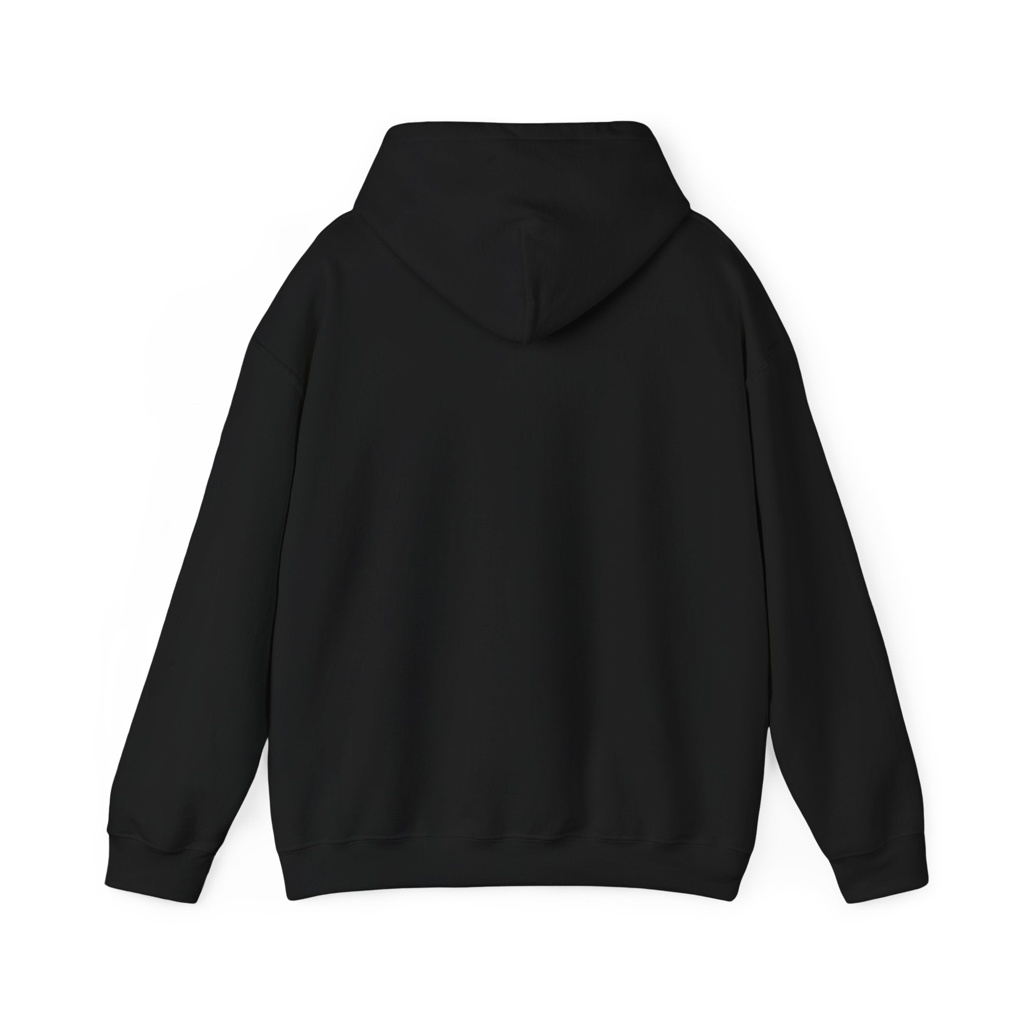 Men's Graphic Hooded Sweatshirt - Dang! Monday Already? | Hoodie by atgodanddesigns