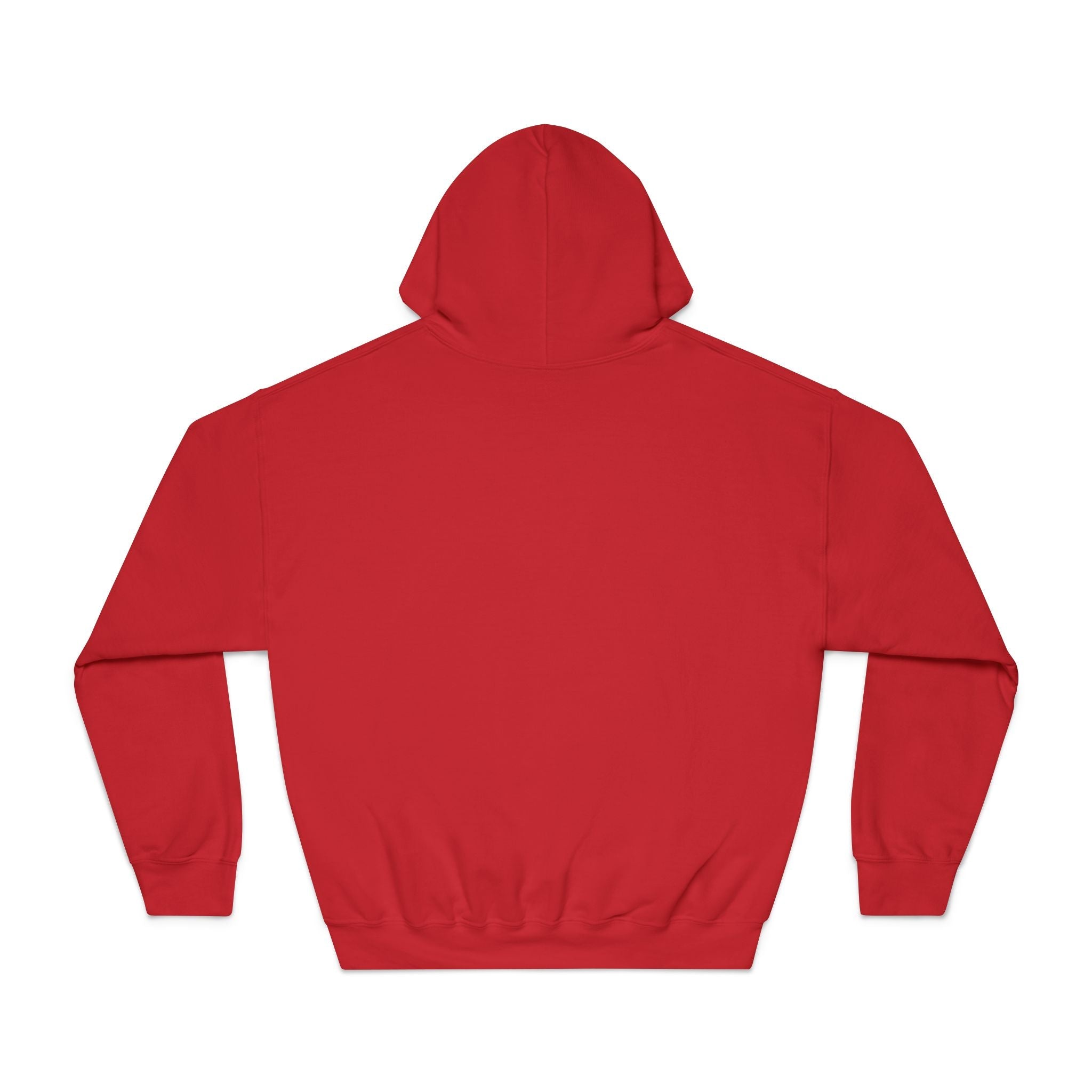 Men's Graphic Hooded Sweatshirt - First Of All I'm A Delight | Hoodie by atgodanddesigns