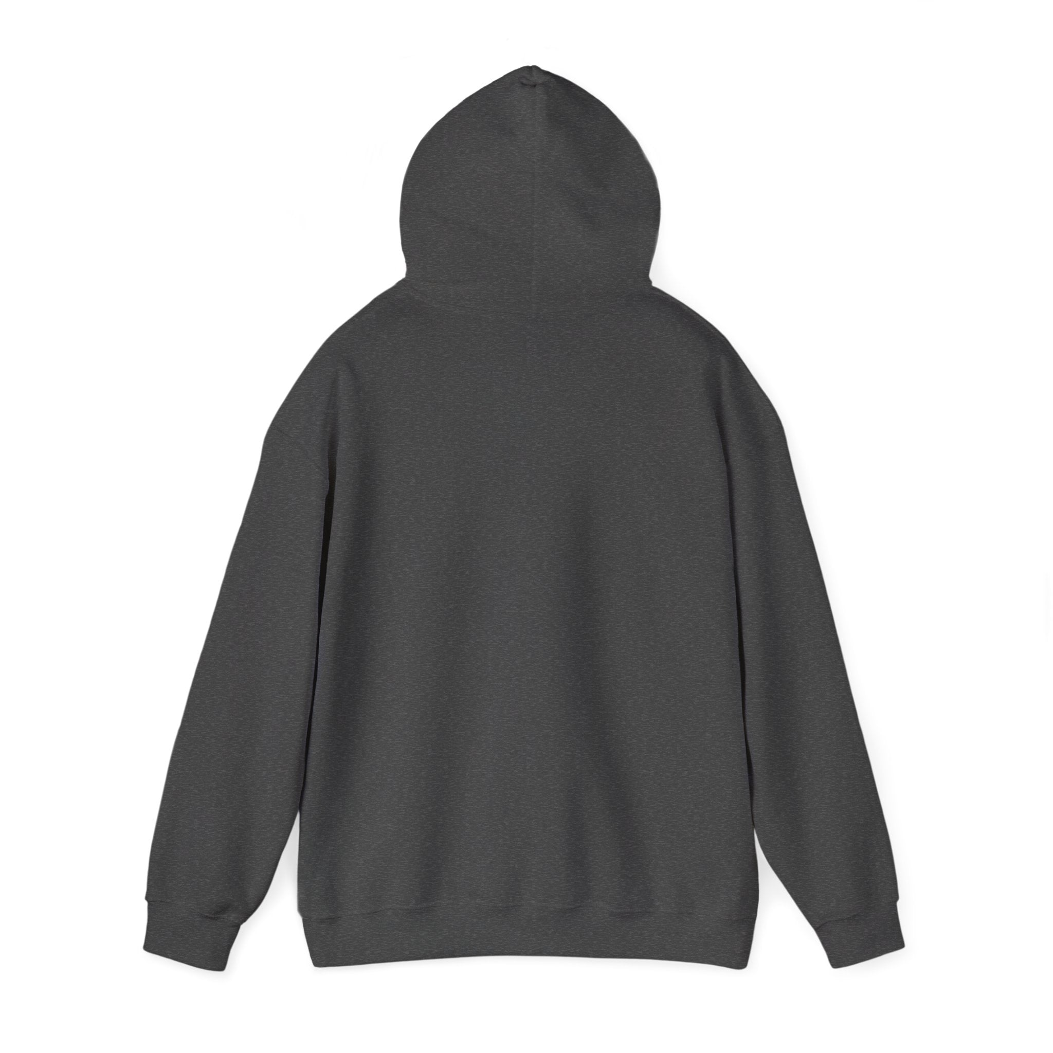 Men's Graphic Hooded Sweatshirt - I'm Not Old I'm Classic | Hoodie by atgodanddesigns