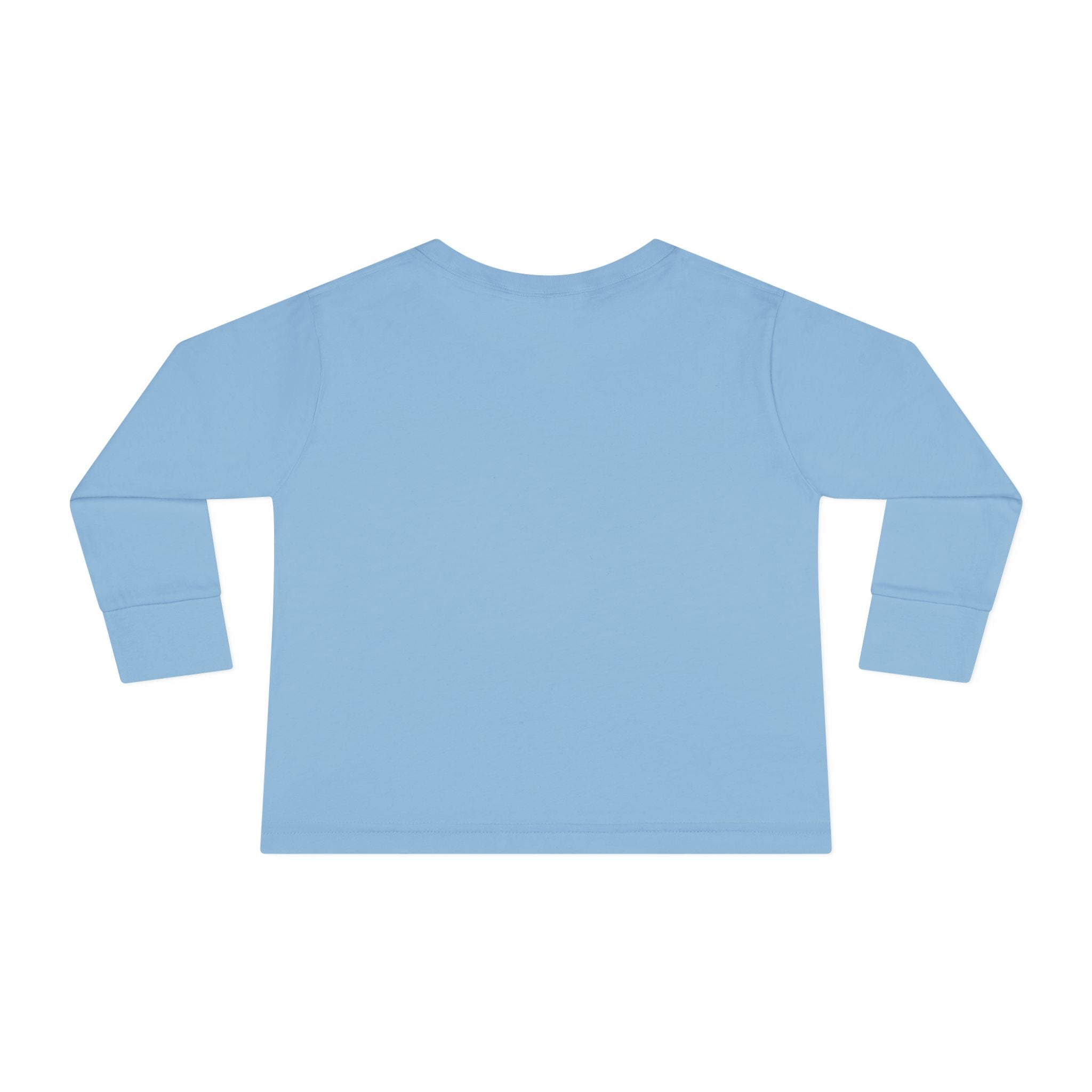 Toddler Graphic Boys Long Sleeve T-Shirt - Mr. Steal Your Snacks | Kids clothes by atgodanddesigns