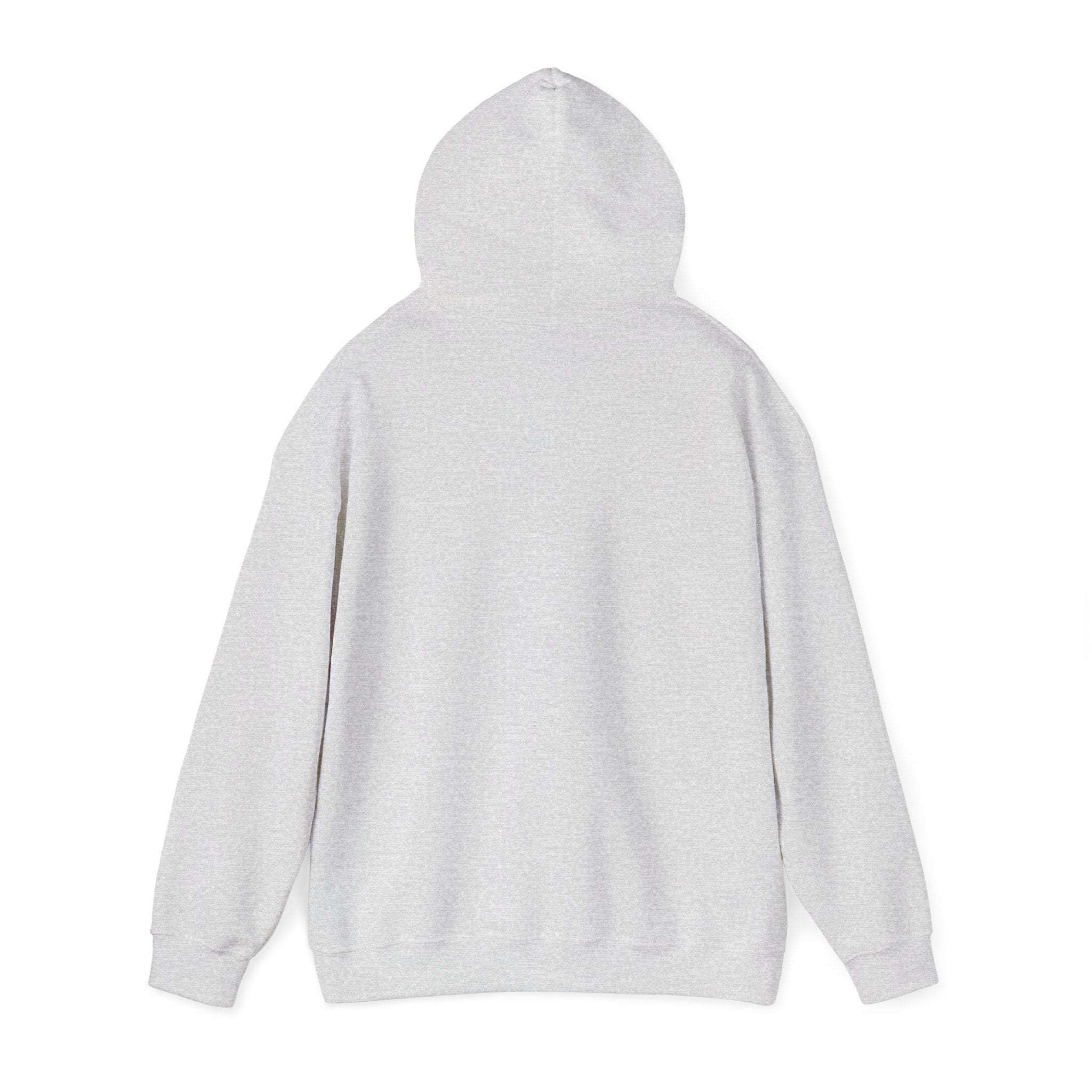 Women's Graphic Hooded Sweatshirt - Nope Not Today | Hoodie by atgodanddesigns