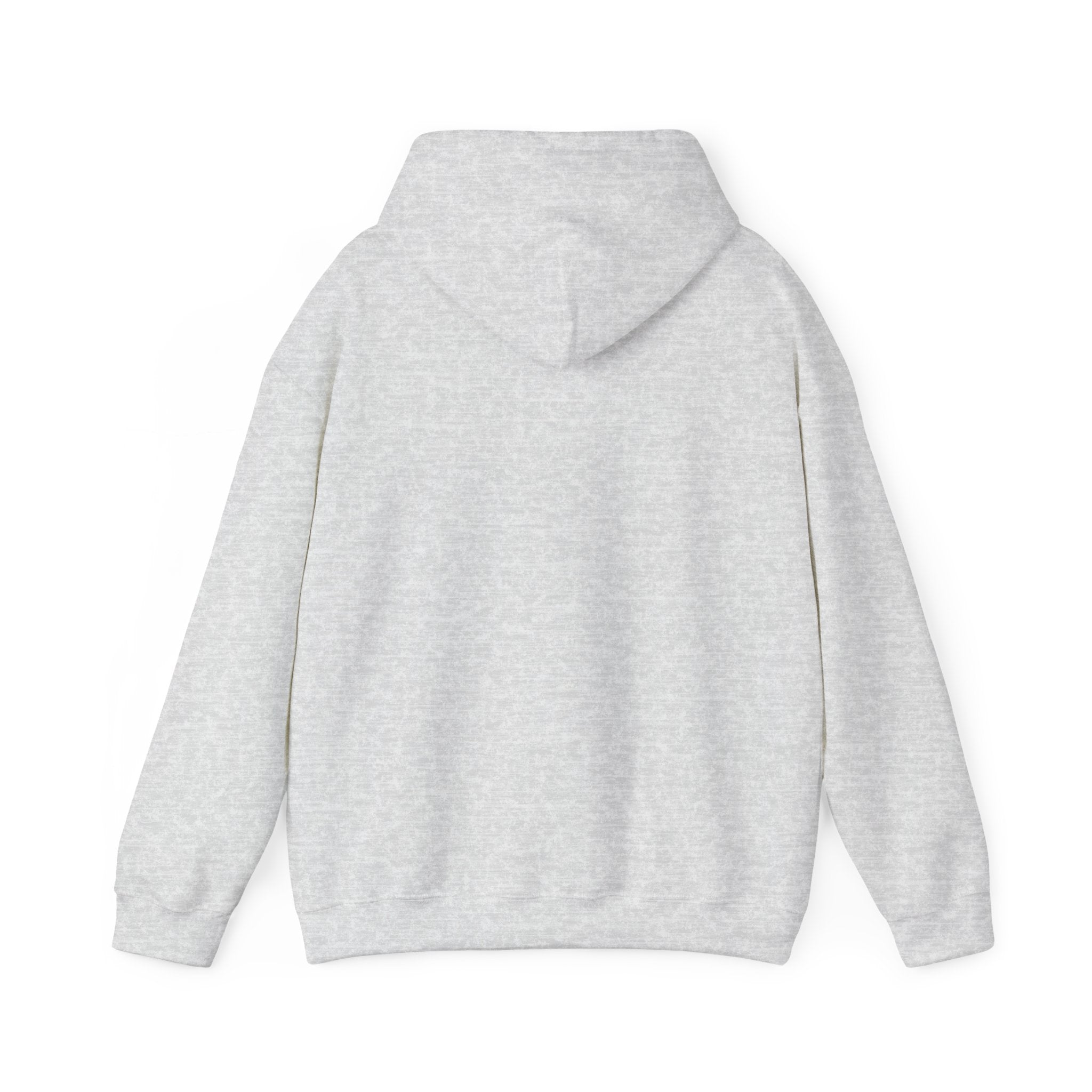 Women's Graphic Hooded Sweatshirt - Nope Not Today | Hoodie by atgodanddesigns