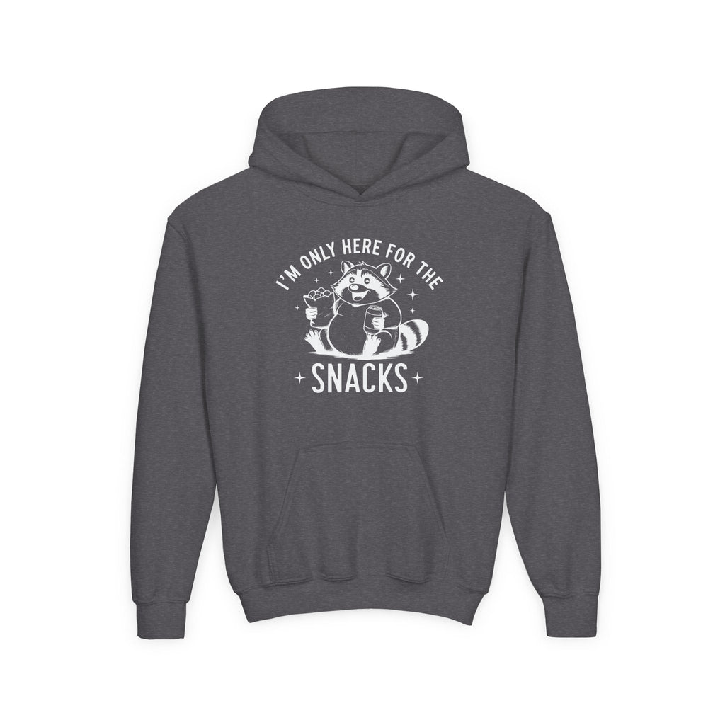 Youth Graphic Hooded Sweatshirt - I'm Only Here For The Snacks | Kids clothes by atgodanddesigns