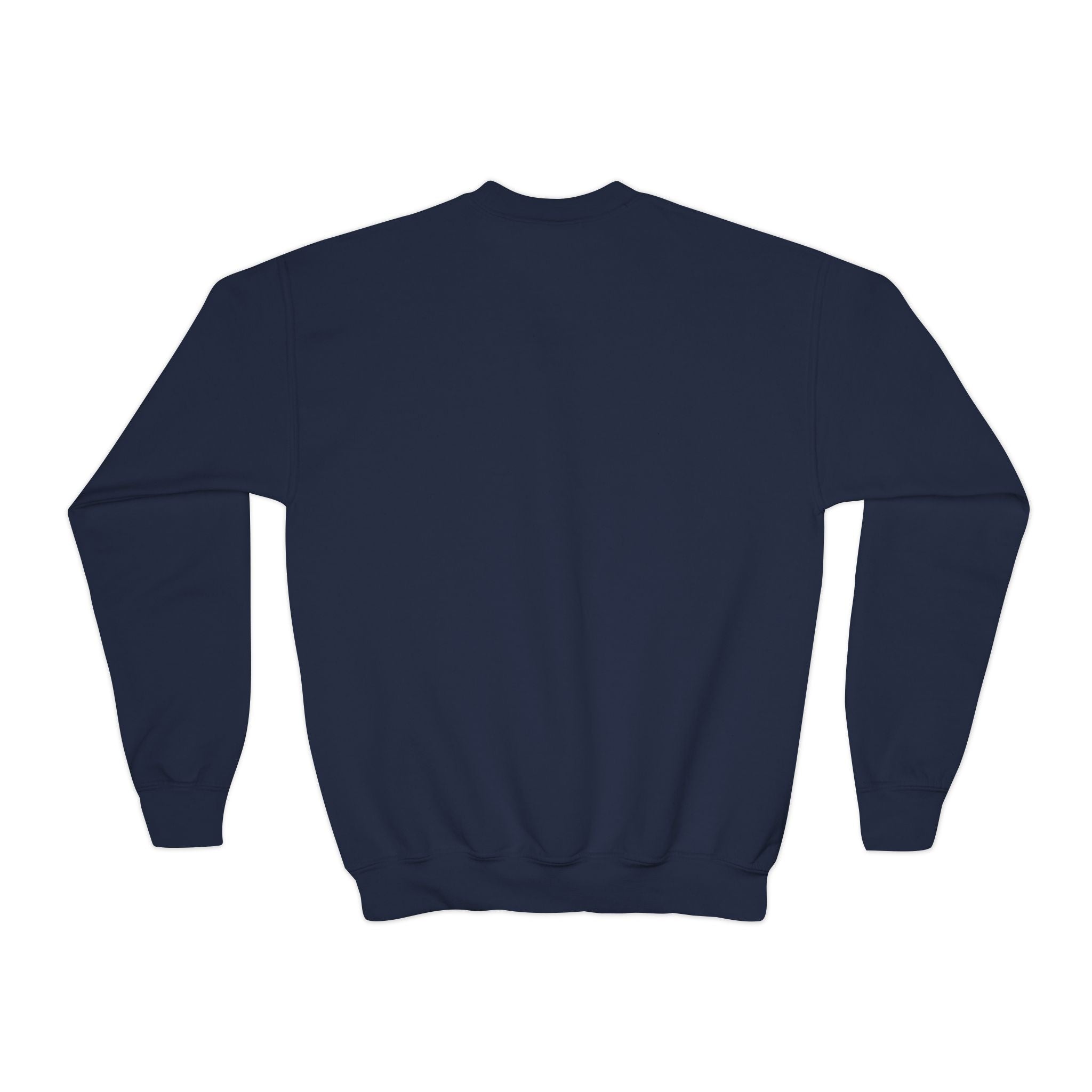 Youth Graphic Sweatshirt - GAMER | Kids clothes by atgodanddesigns