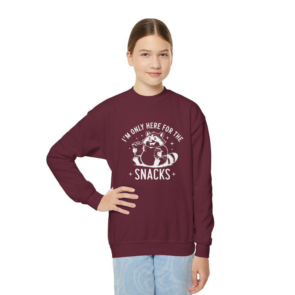 Youth Graphic Sweatshirt - I'm Only Here For The Snacks | Kids clothes by atgodanddesigns